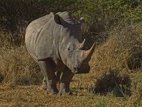 Waterberg [ 28 images ]